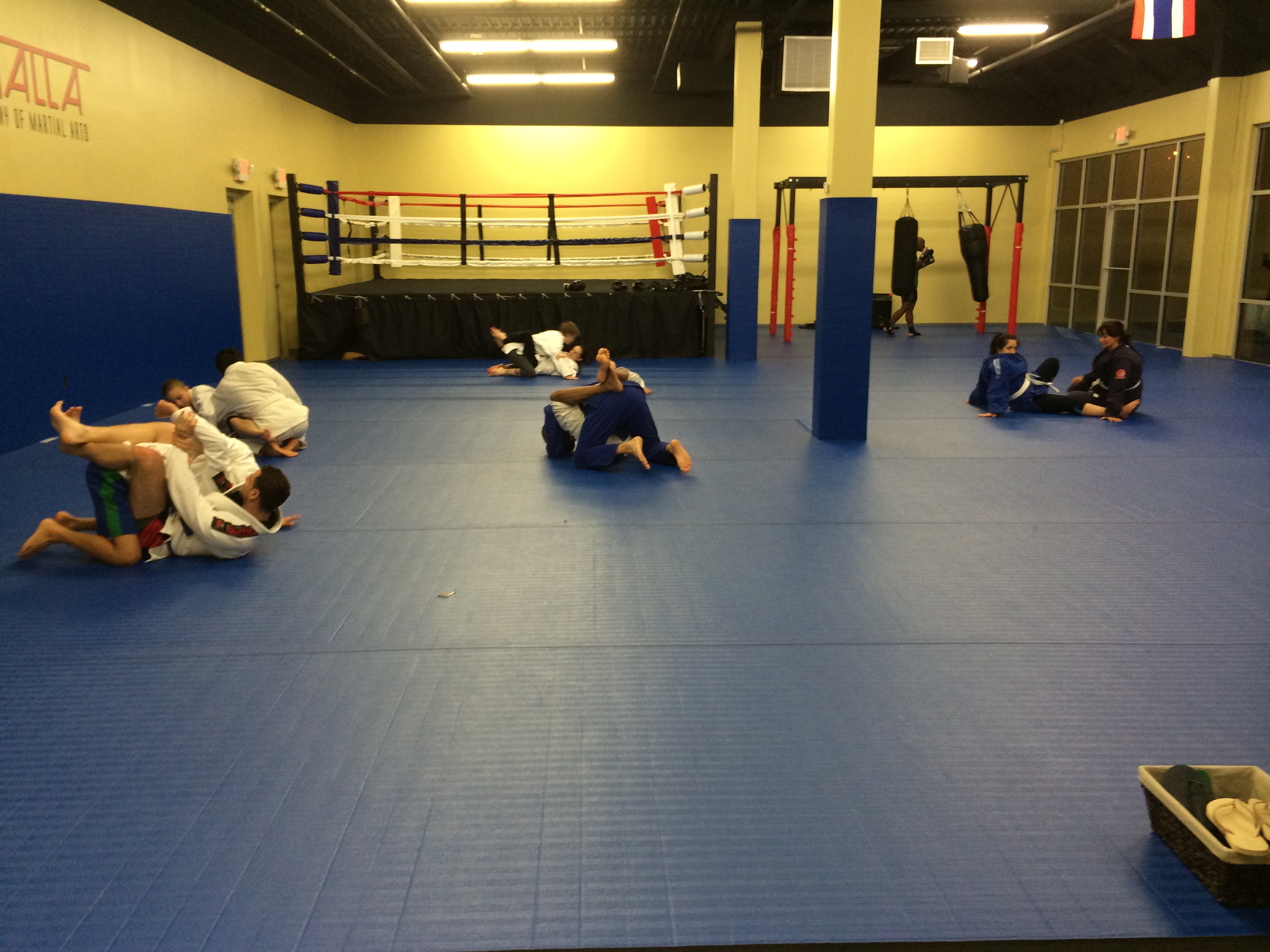 Large Brazilian Jiu Jitsu class!