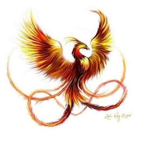 Phoenix Properties and Restoration