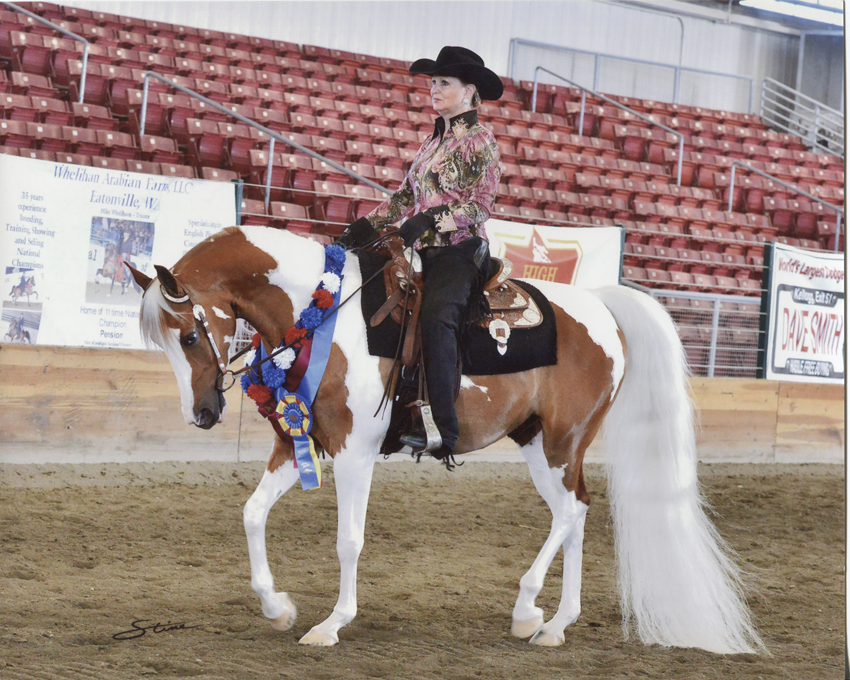 Countryside Equine Veterinary Service Photo