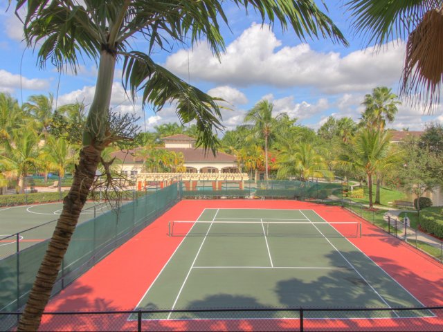 Polo Glen Image