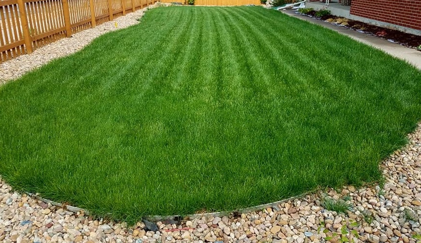 Lawn Doctor - Lakewood Image
