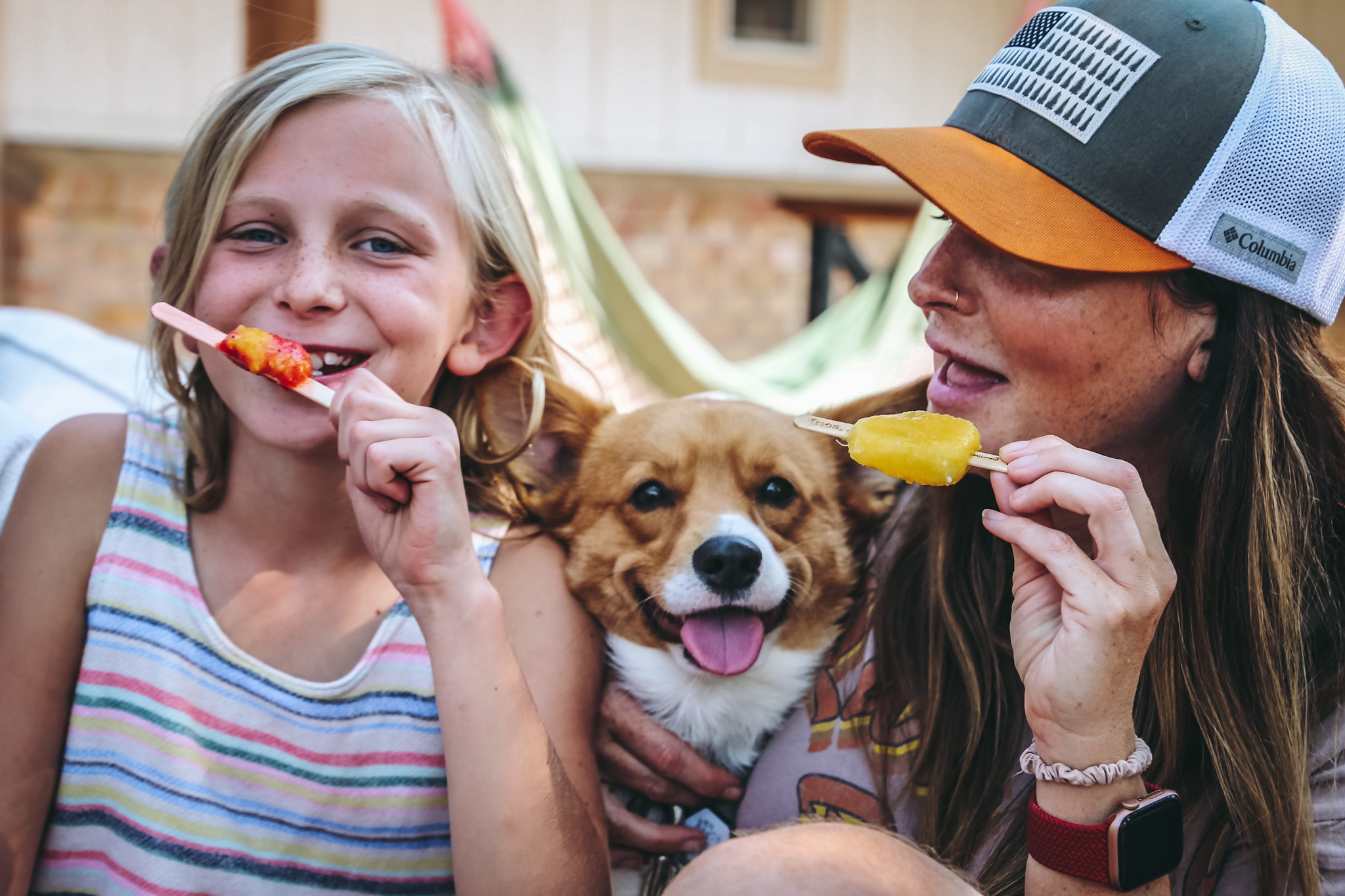 Frios Gourmet Pops South Boston Image