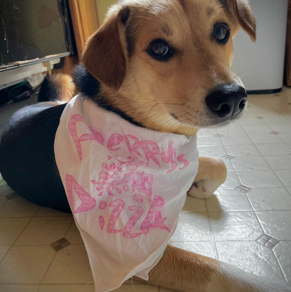 Doggy Bandana