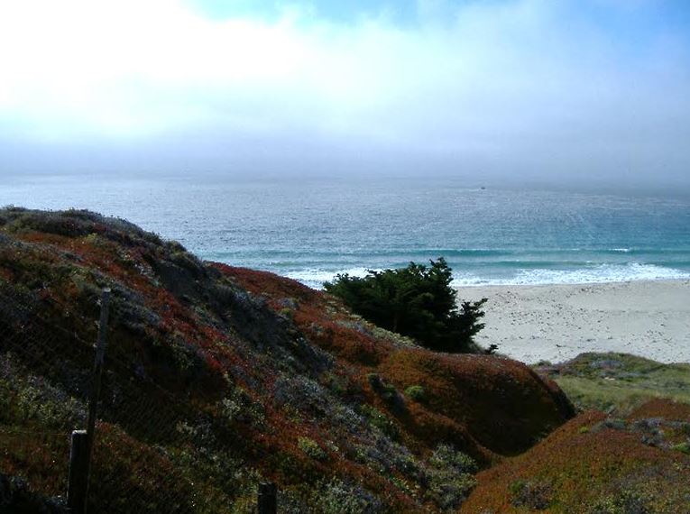 Higher Consciousness Hypnotherapy Photo