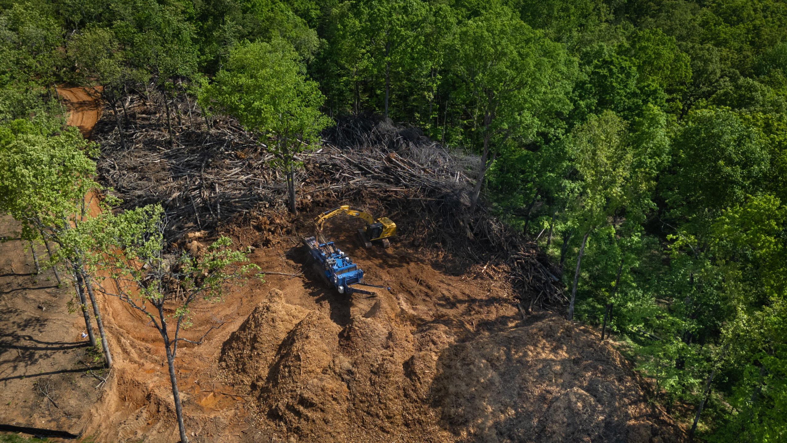 Big Woody's Tree Service Image