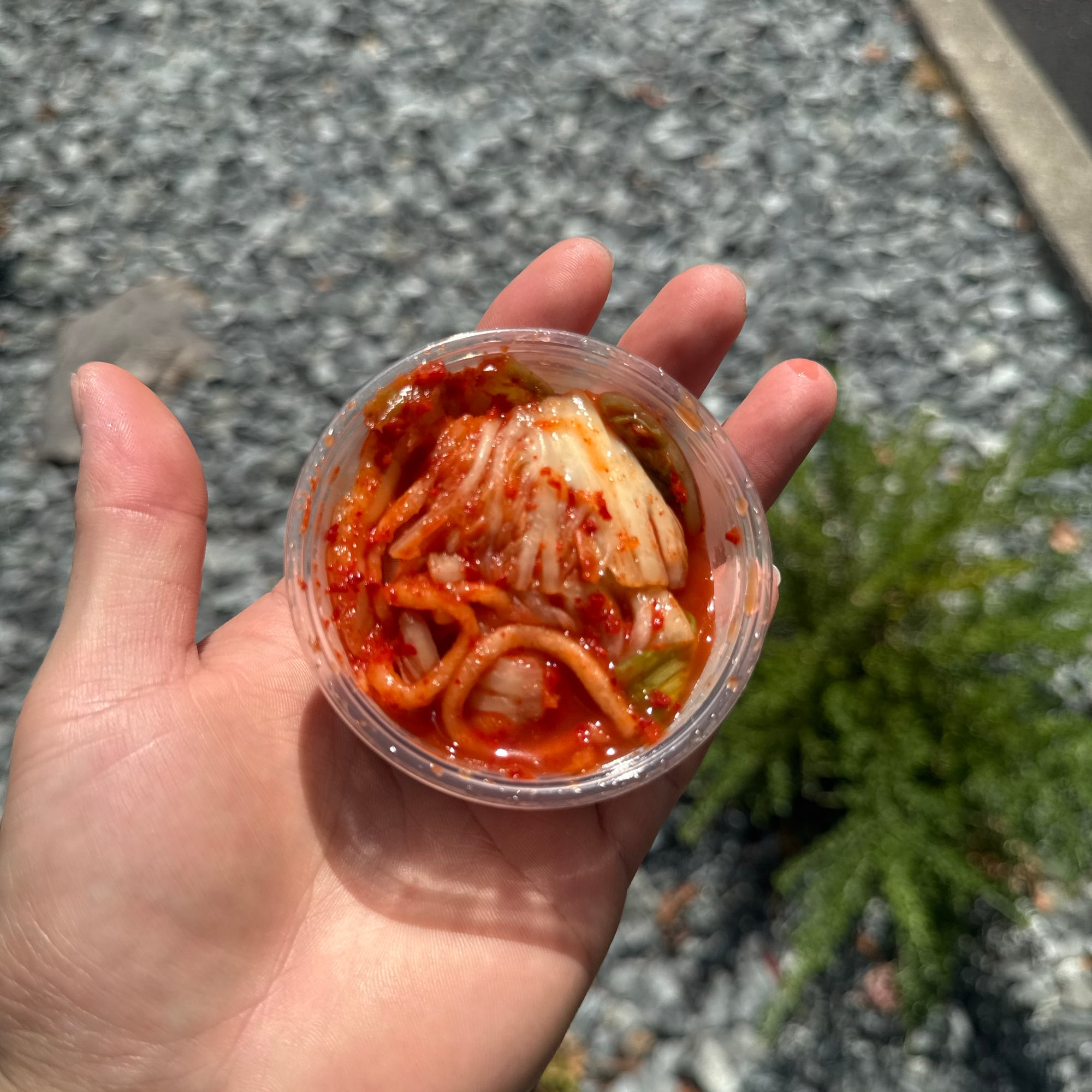 Mama Seoul's Kimchi 1.5oz