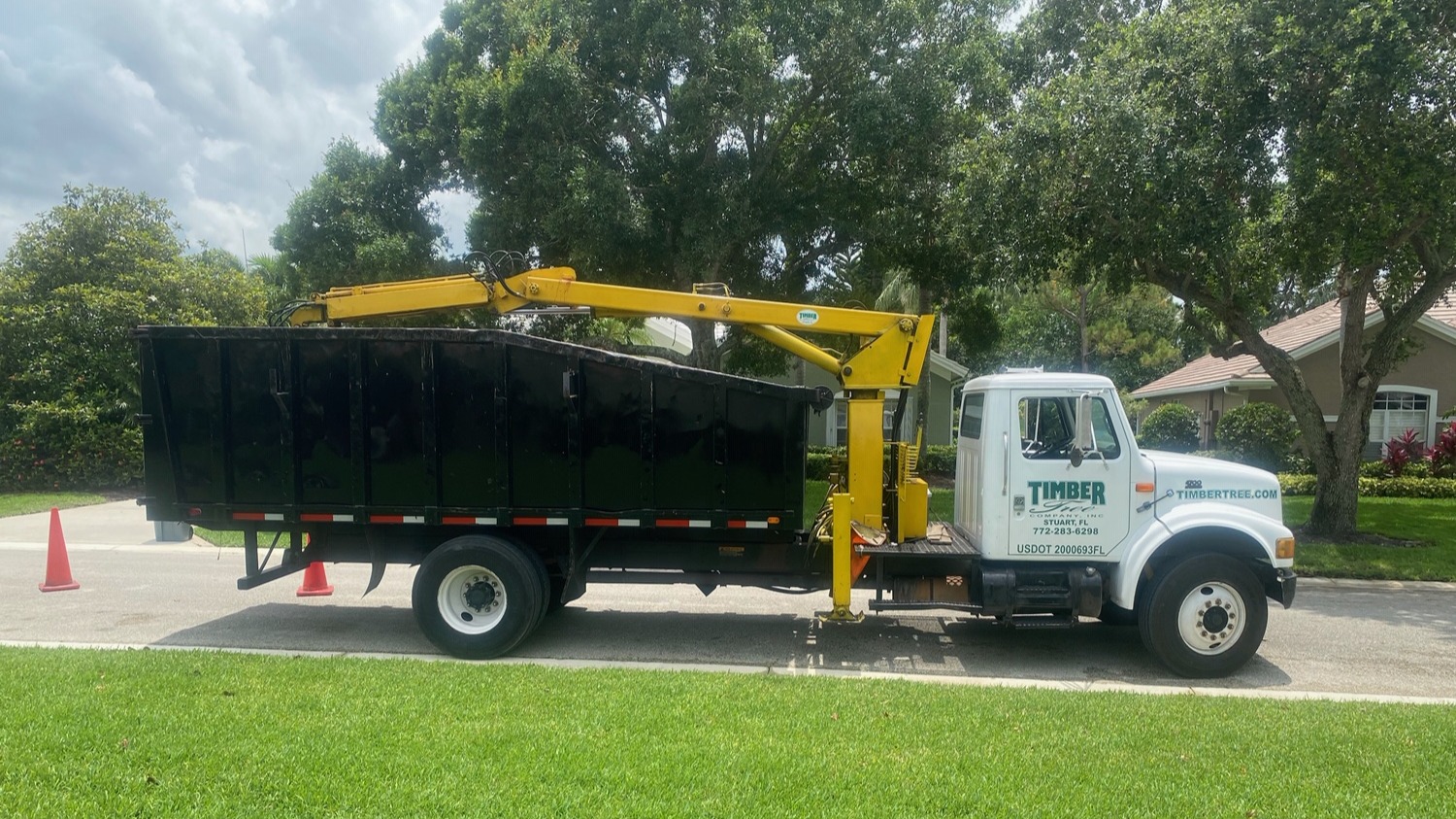 Timber Tree Co Image