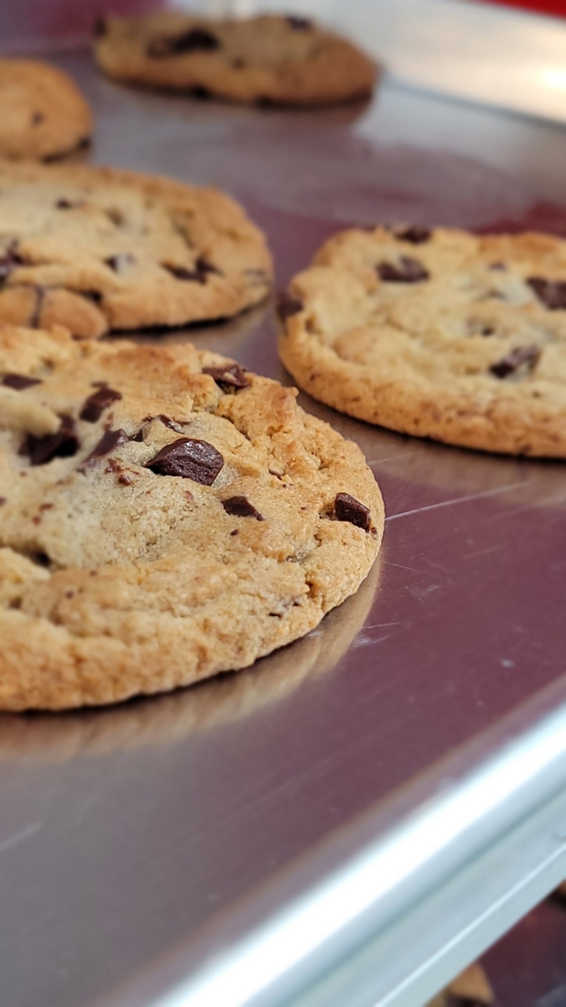 Chocolate Chunk Cookie