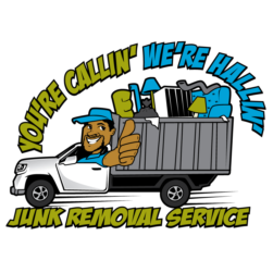 DEBRIS AWAY PROS Logo