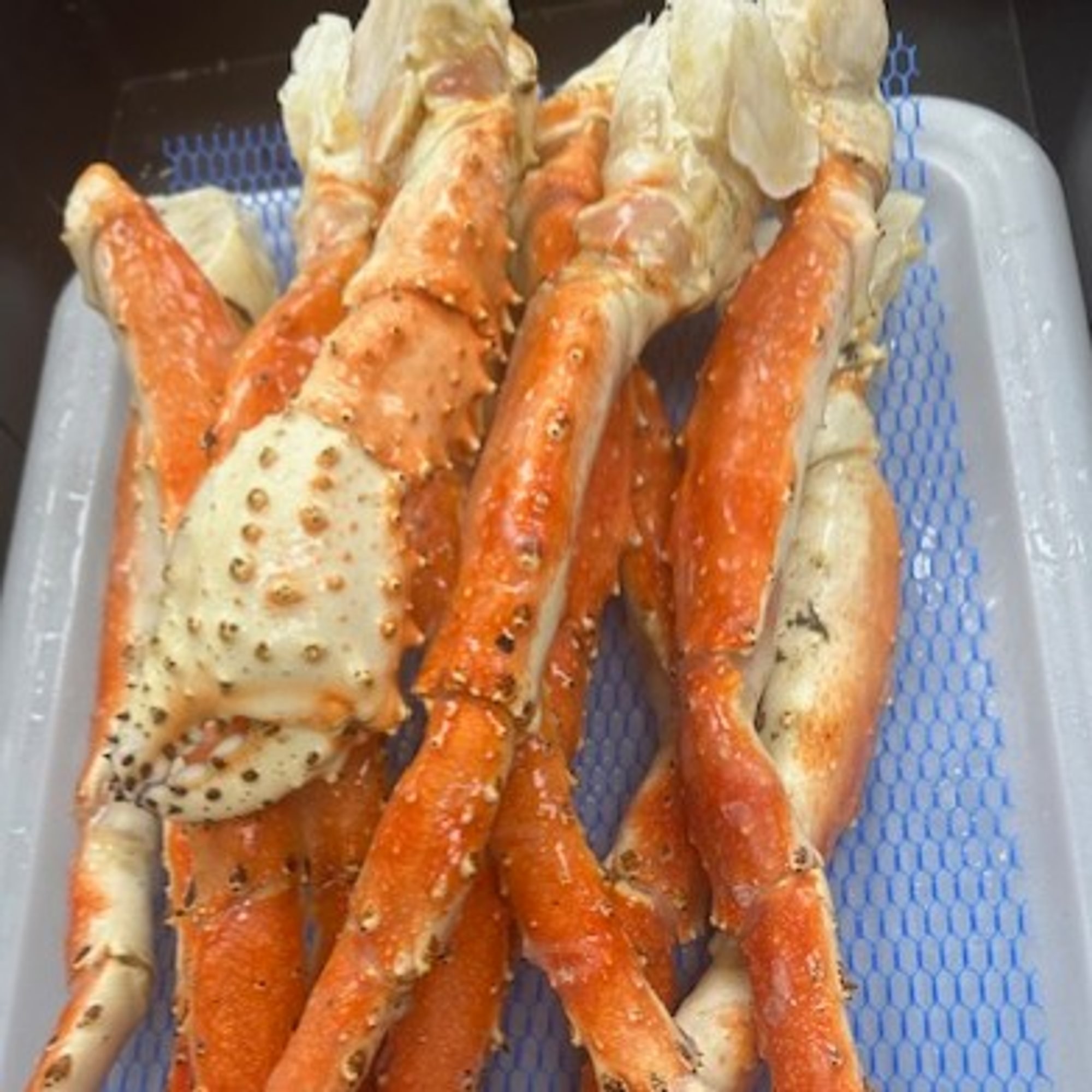 King Crab