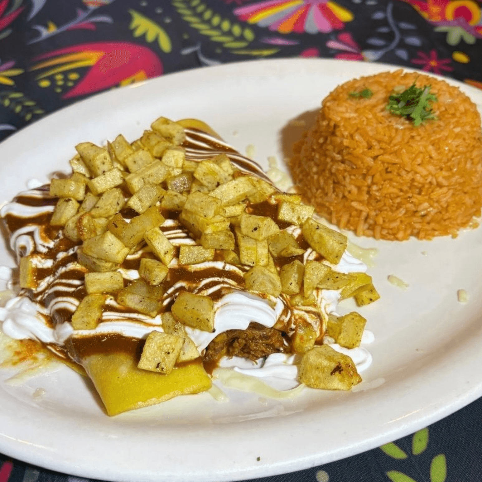 Birria Enchiladas