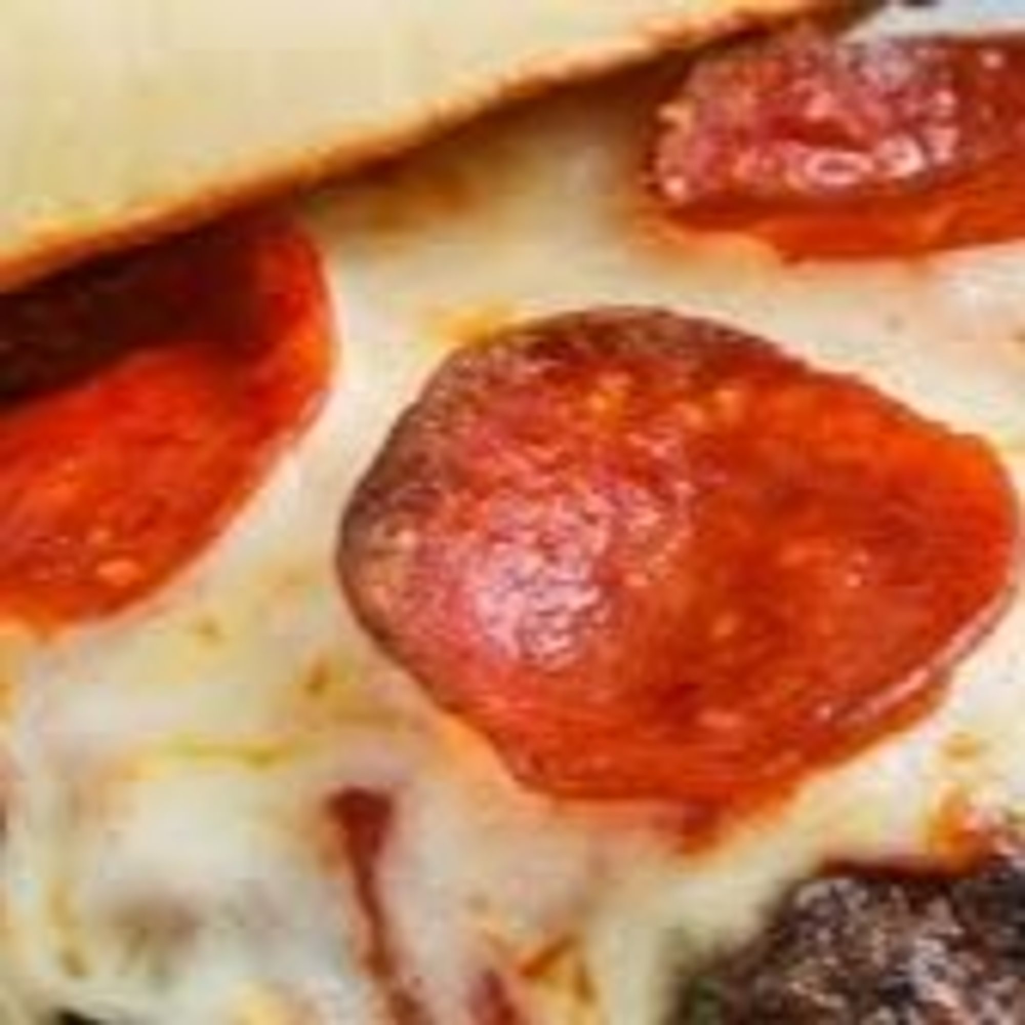 Pizza Burger Sub