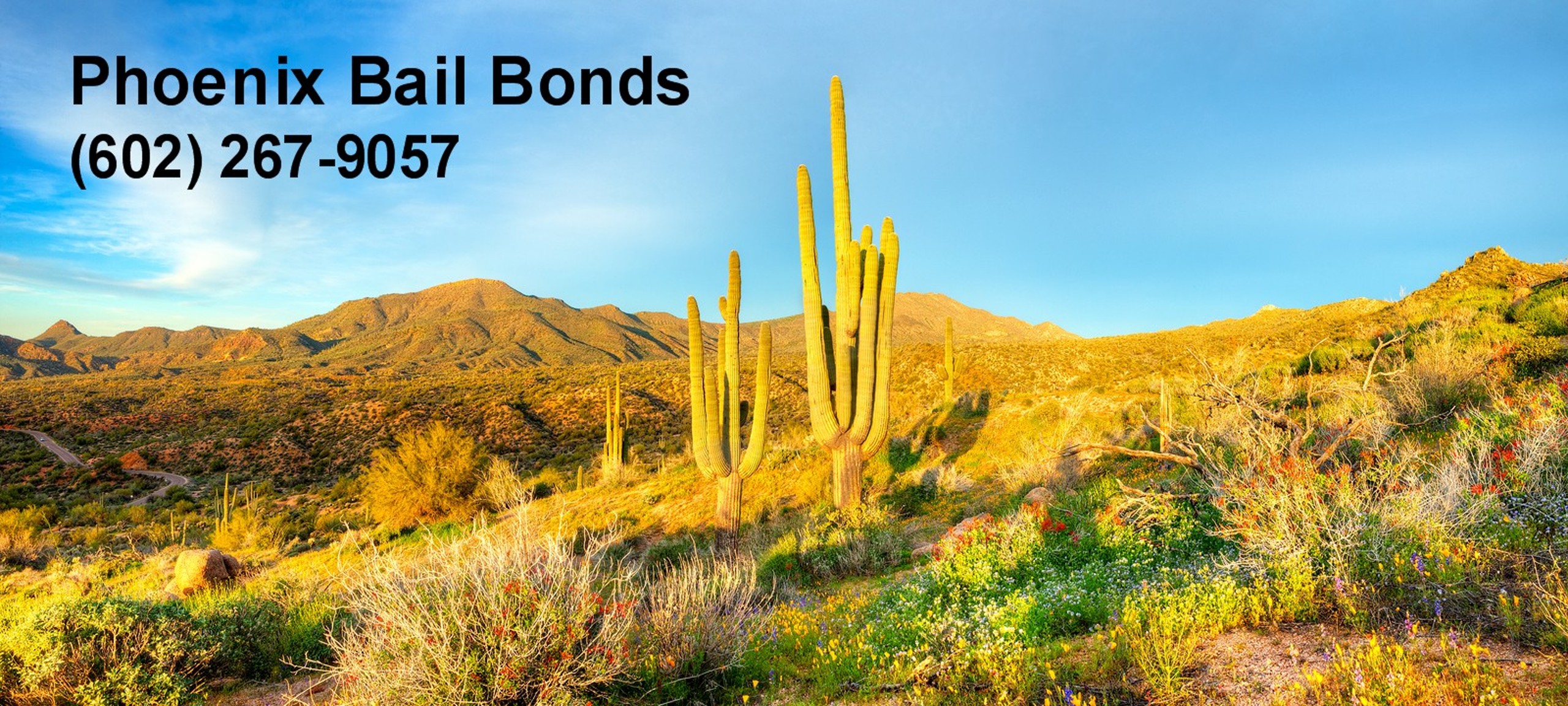 Phoenix Bail Bonds Photo