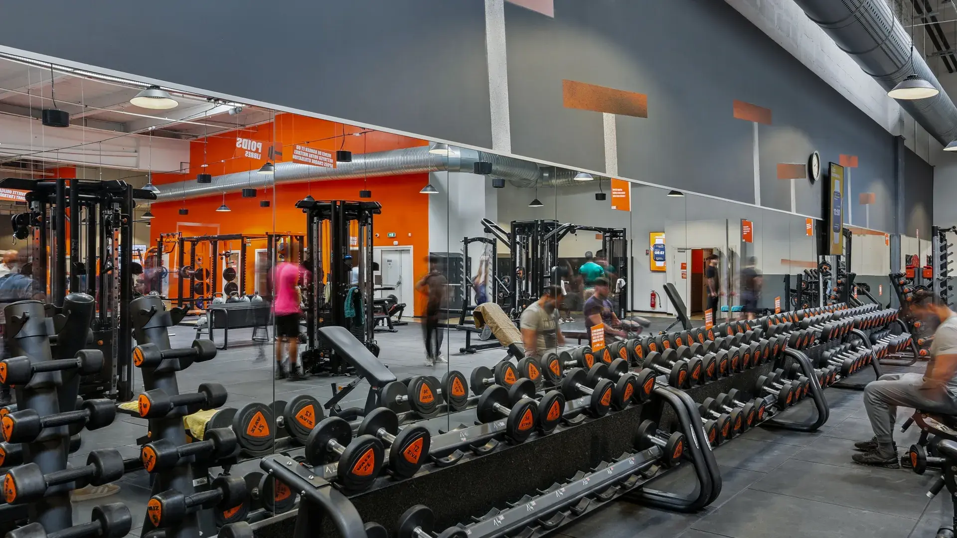 Miniature de la galerie