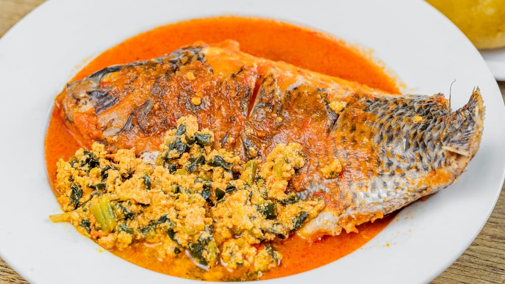 Tilapia
