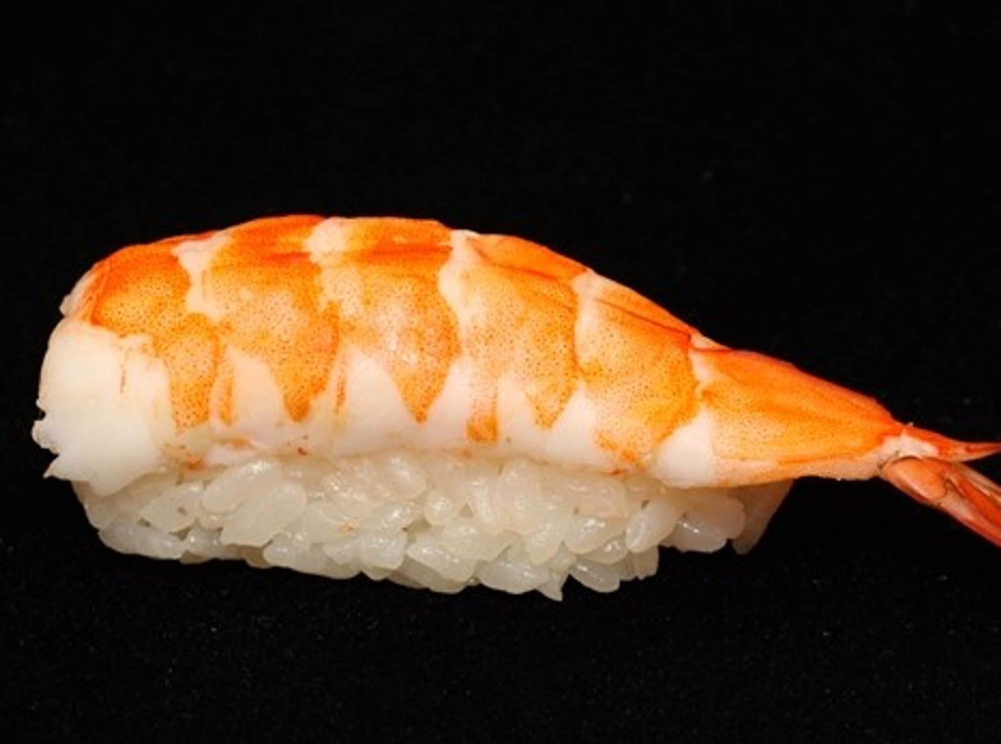 Shrimp Sushi