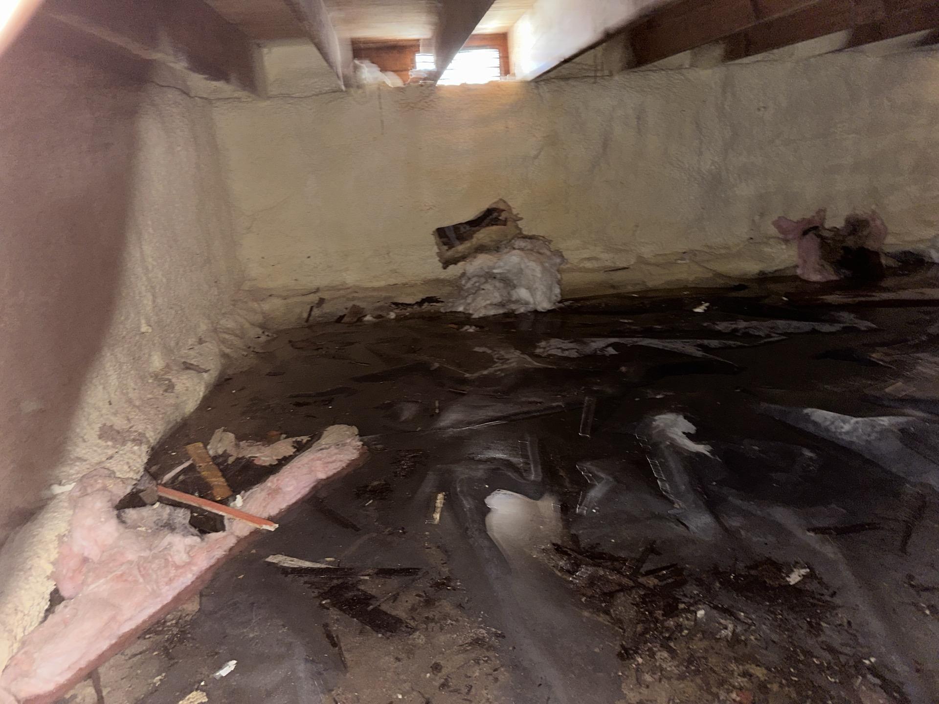 Xtreme Restoration & Carpet Cleaning Image