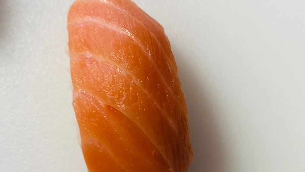 Salmon