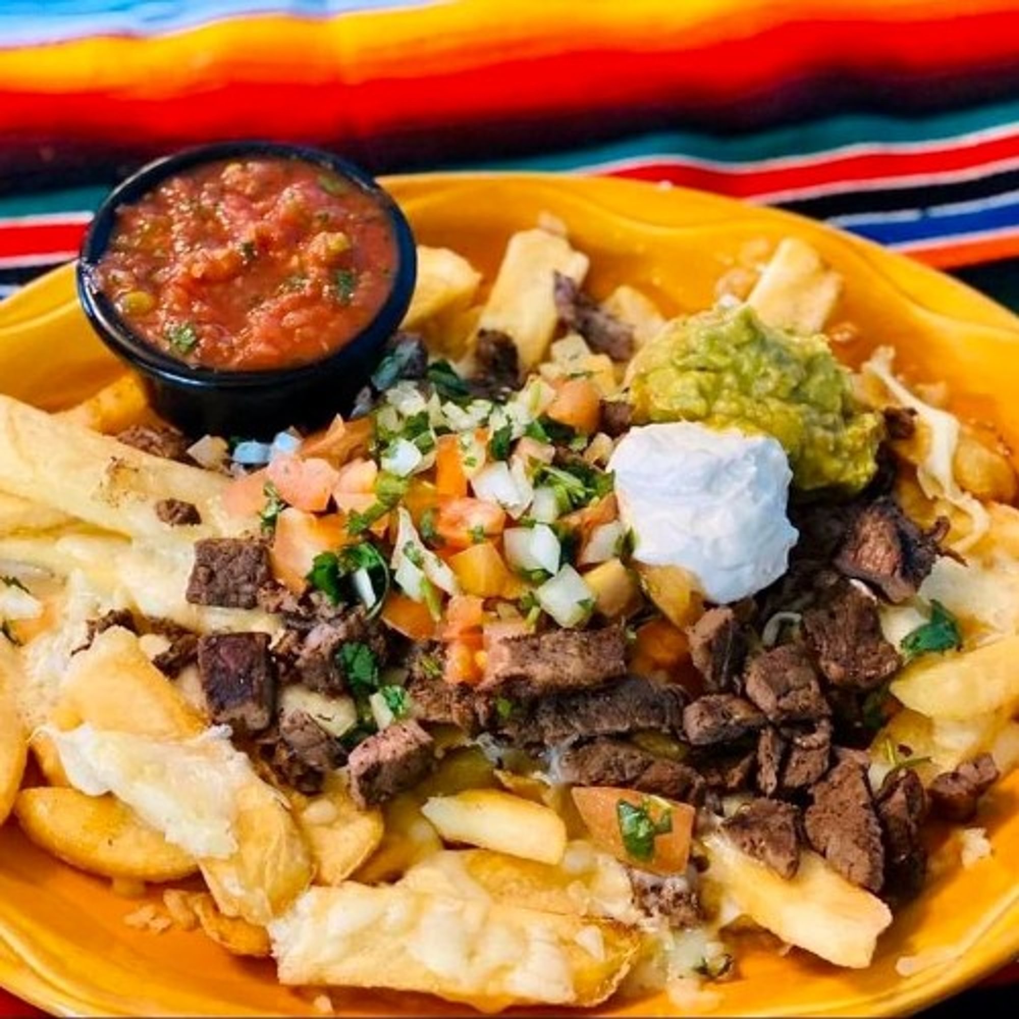 Carne Asada Fries