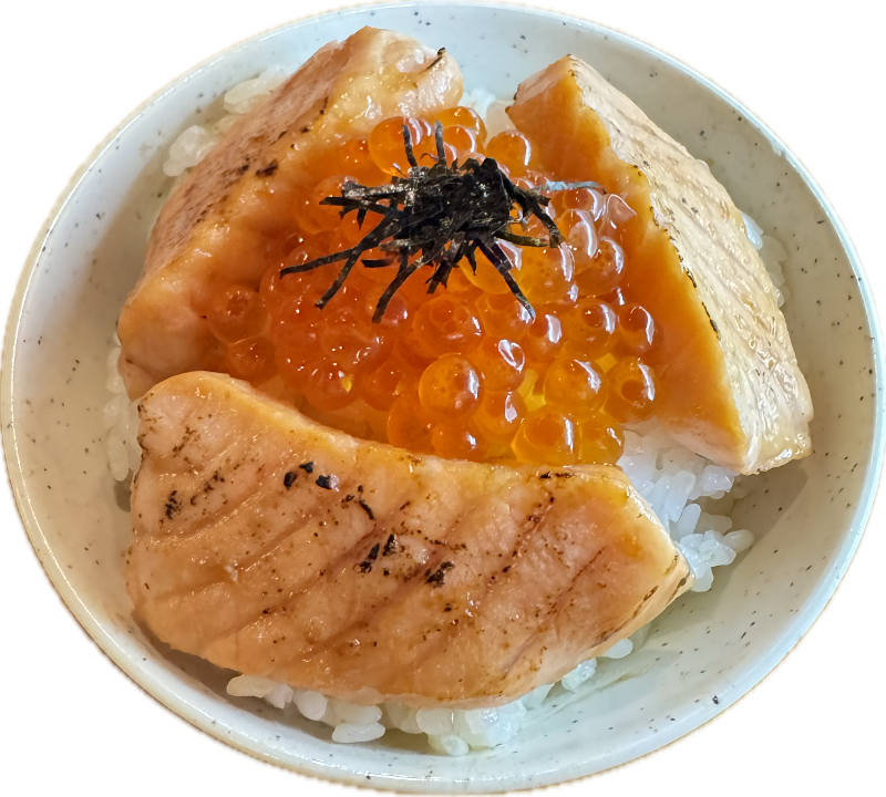 Mini Salmon Don