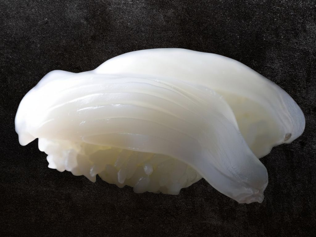 Ika - Squid Nigiri*