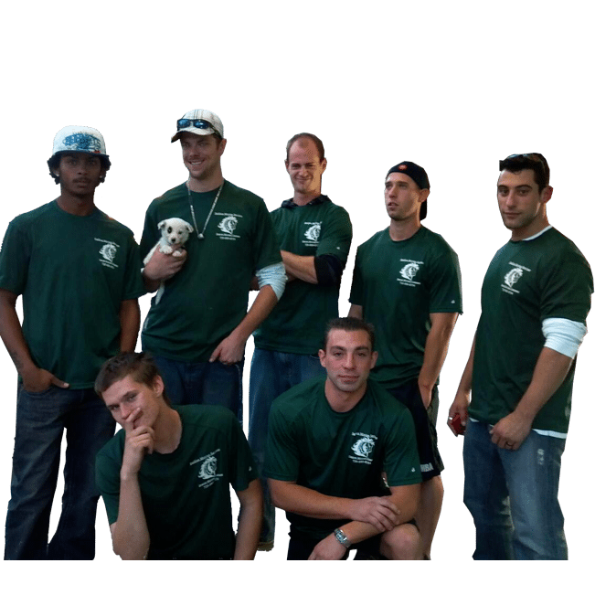 Stallion Moving Services
