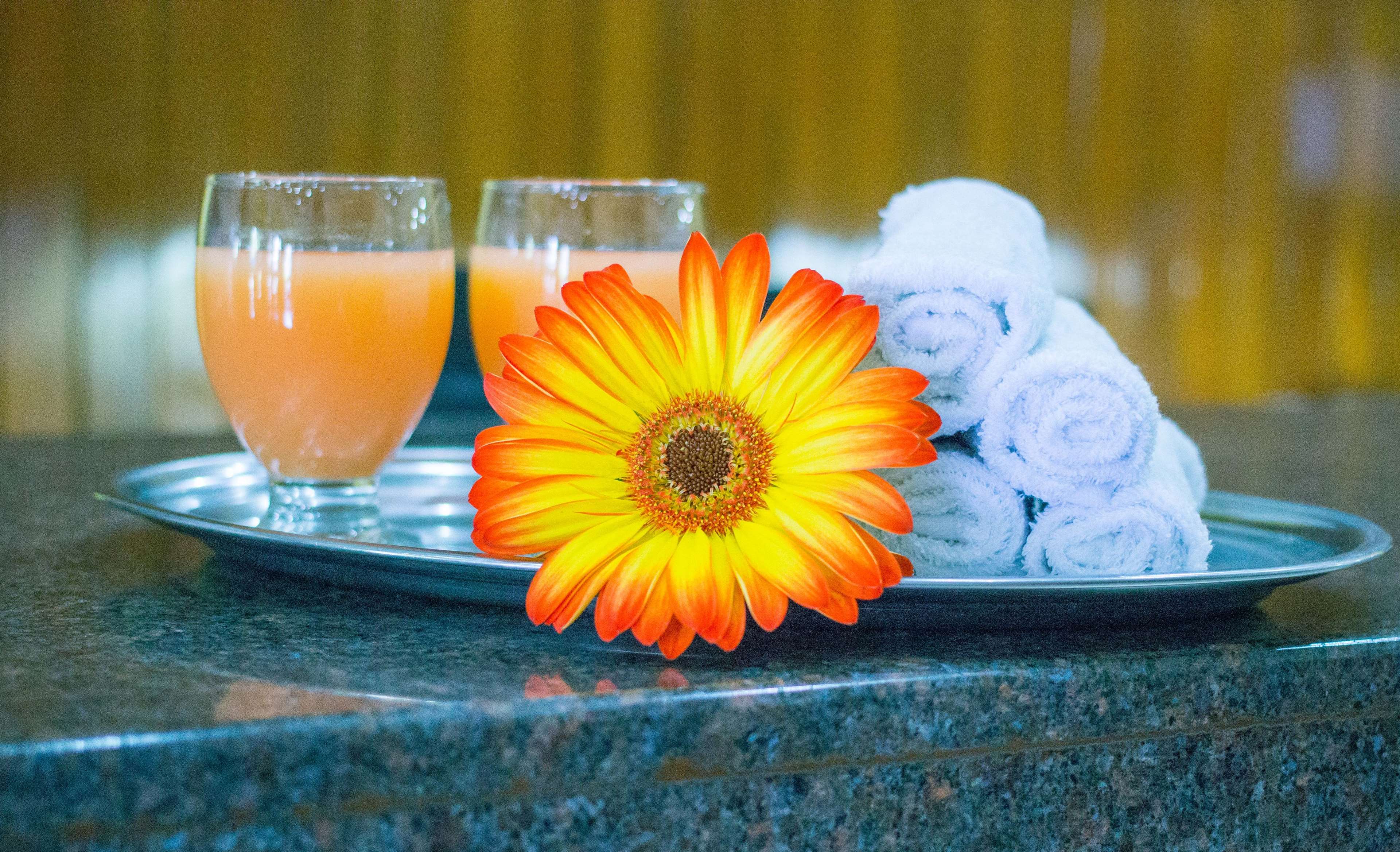 Images Best Western Plus Hotel Ceballos