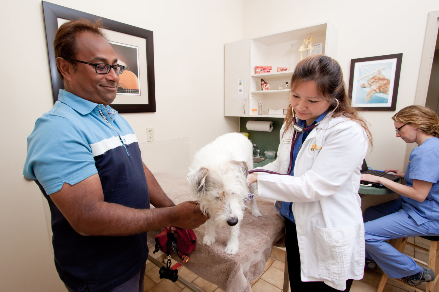 Images Markham Veterinary Clinic