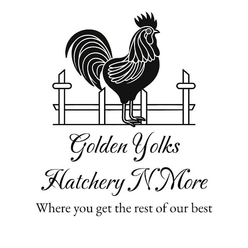 Golden Yolks Hatchery N More