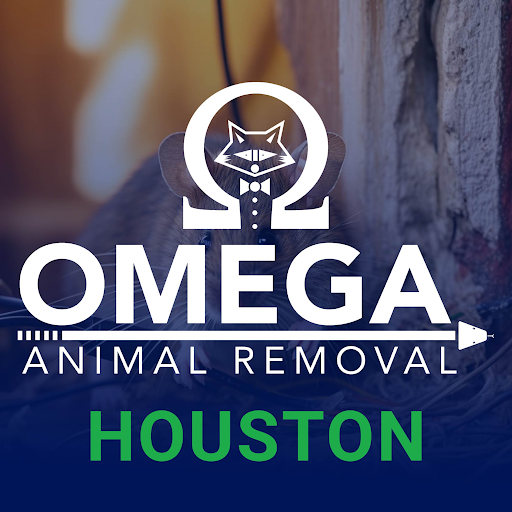 Omega Animal Removal Houston