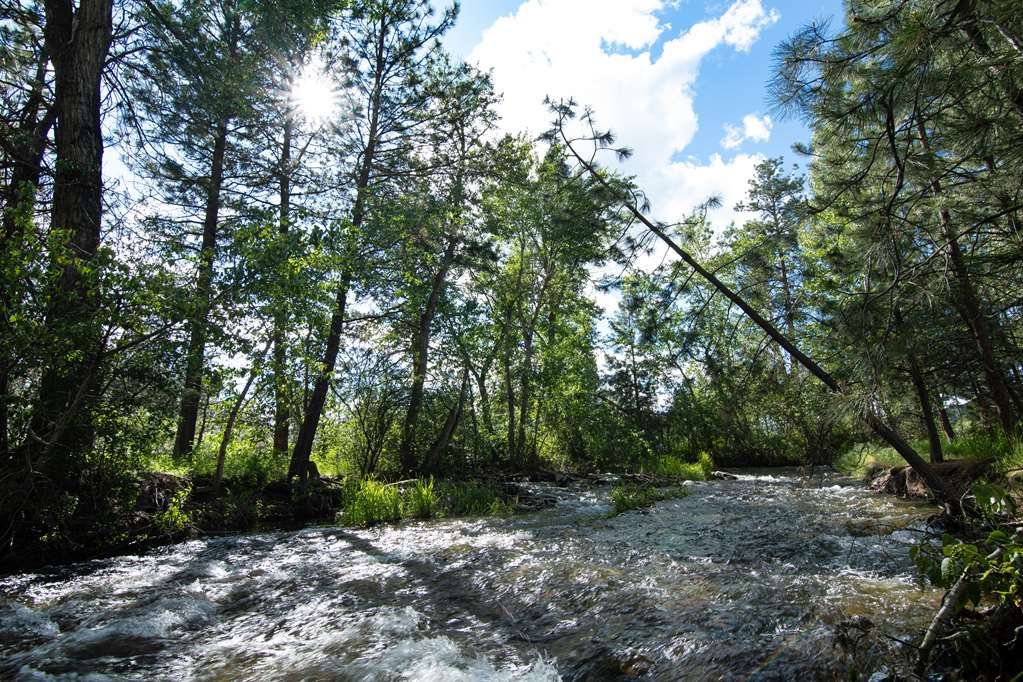 Homewood Suites by Hilton Missoula Image