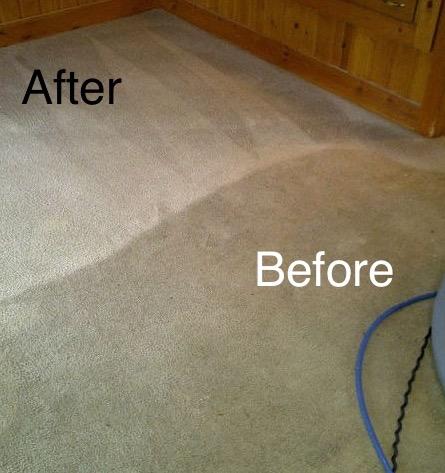 Bulldog Carpet Cleaning Photo