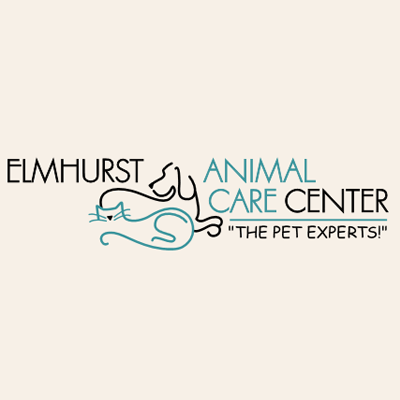 elmhurst animal emergency hospital
