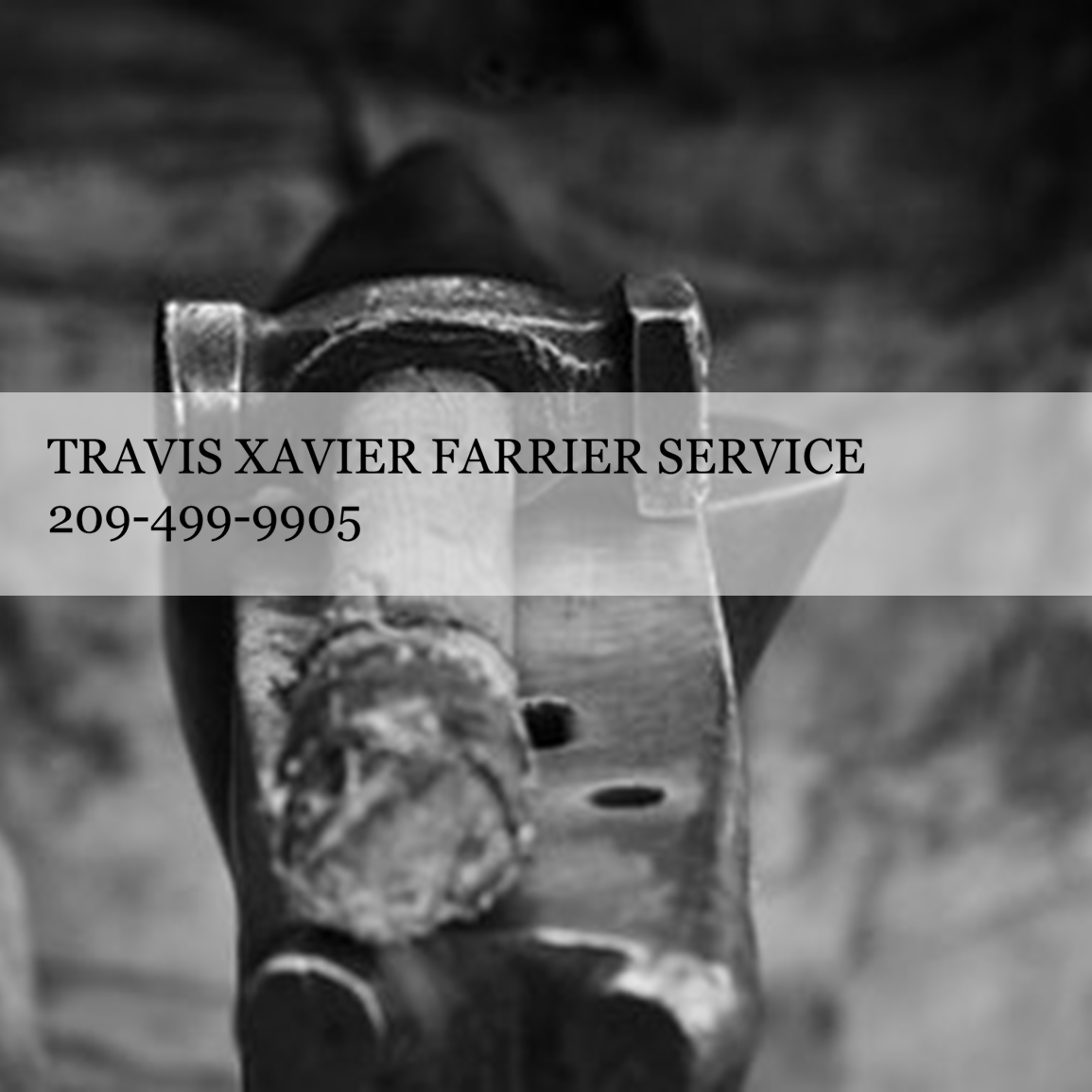 Travis Xavier Farrier Services Logo