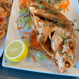 Red Snapper