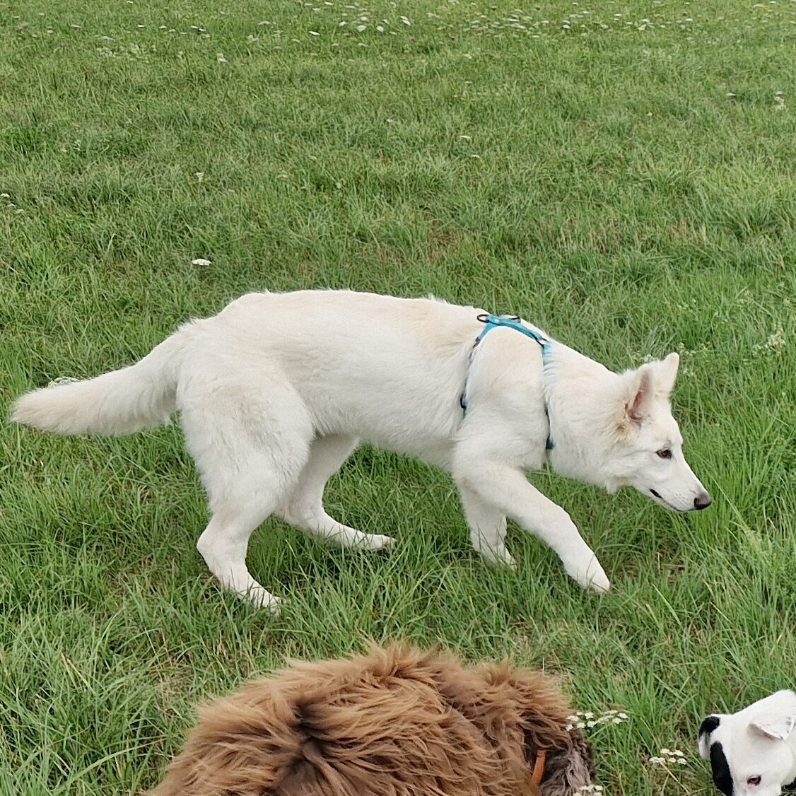 Miniature de la galerie