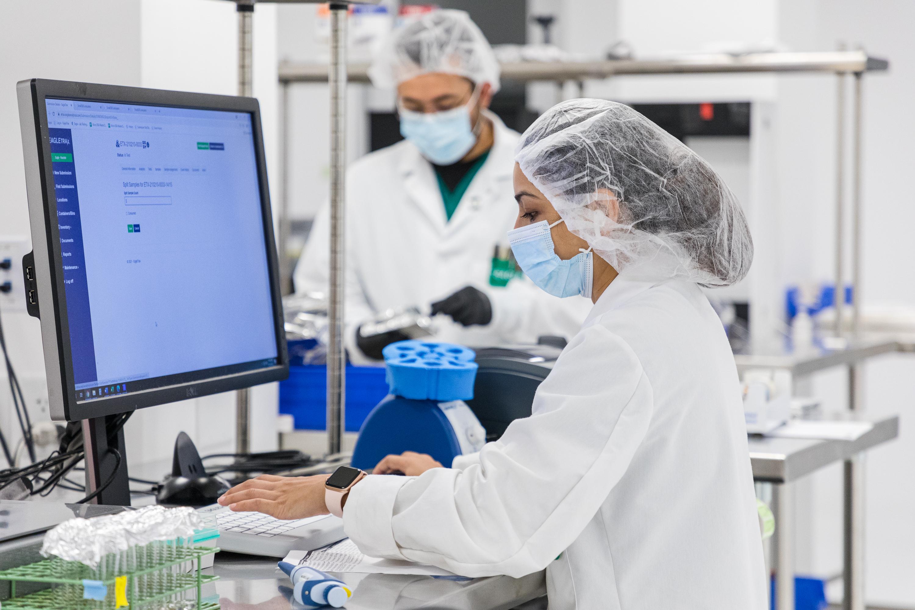 Eagle Analytical Services Image