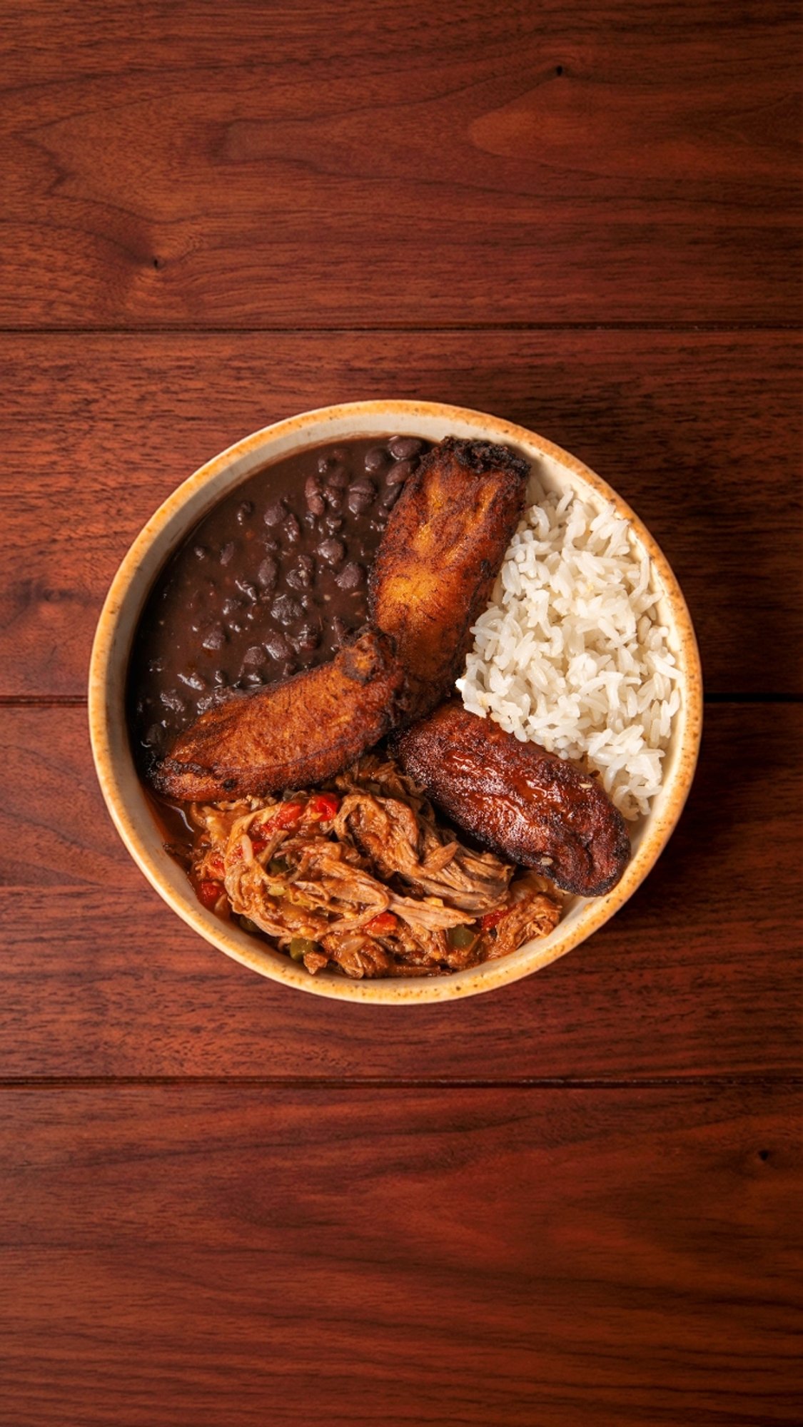 Ropa vieja bowl