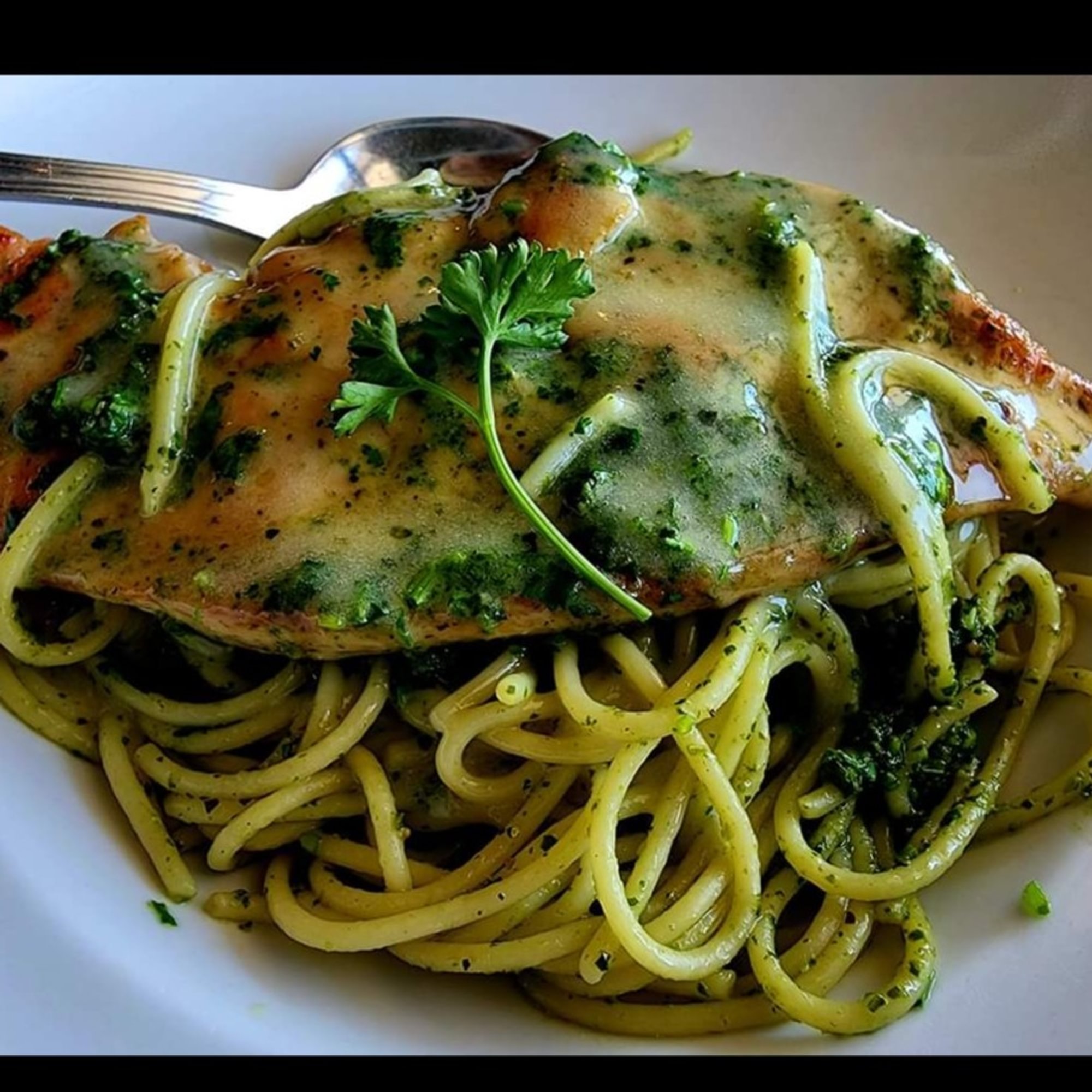 Chicken Pesto Cilantro