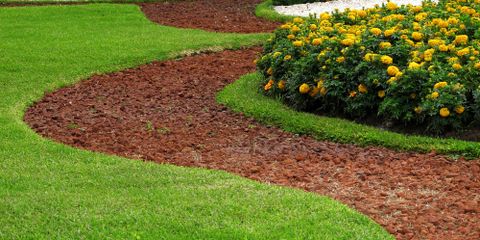 A Guide to Preventing Lawn Weeds