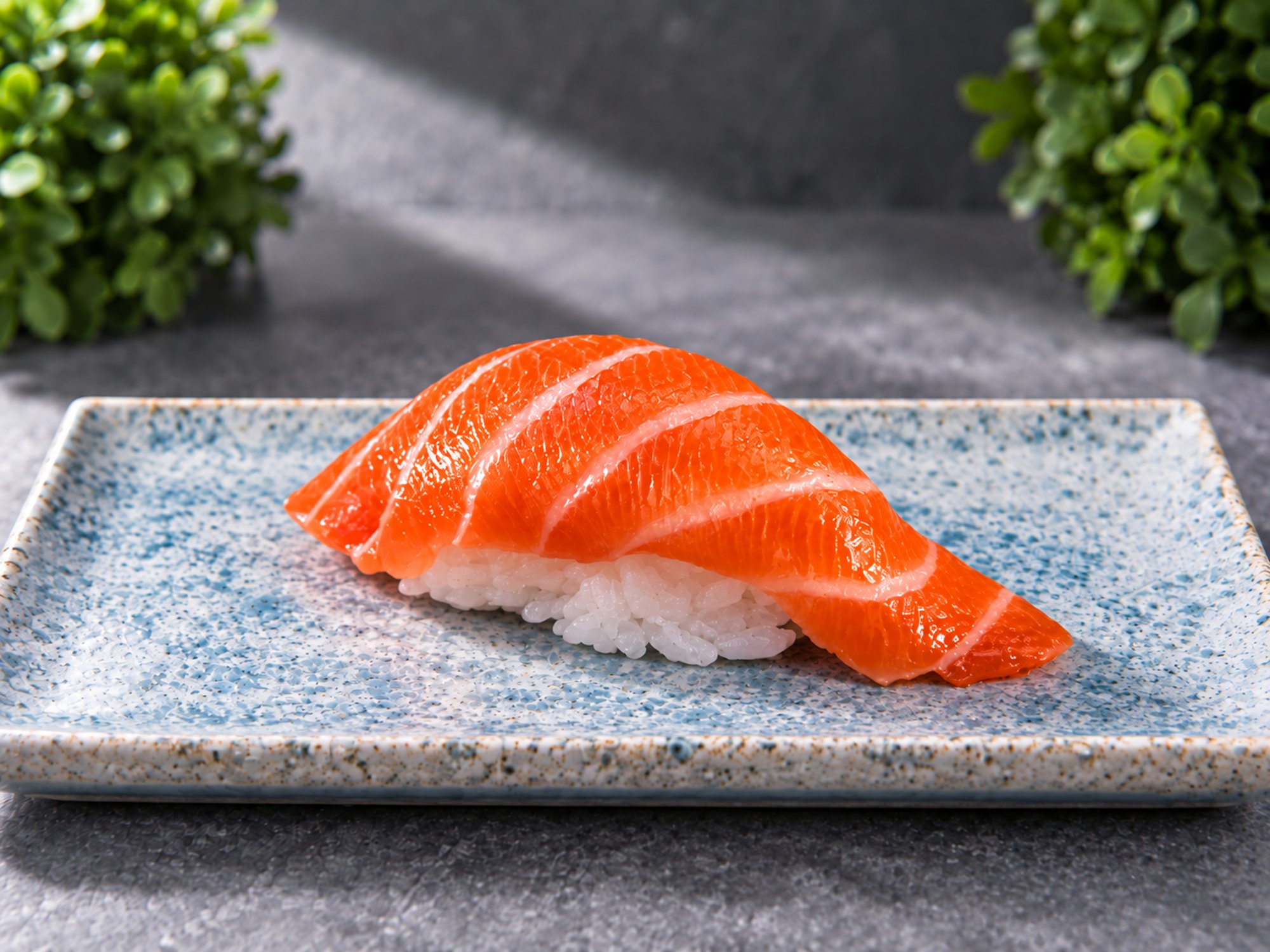 Salmon Sushi