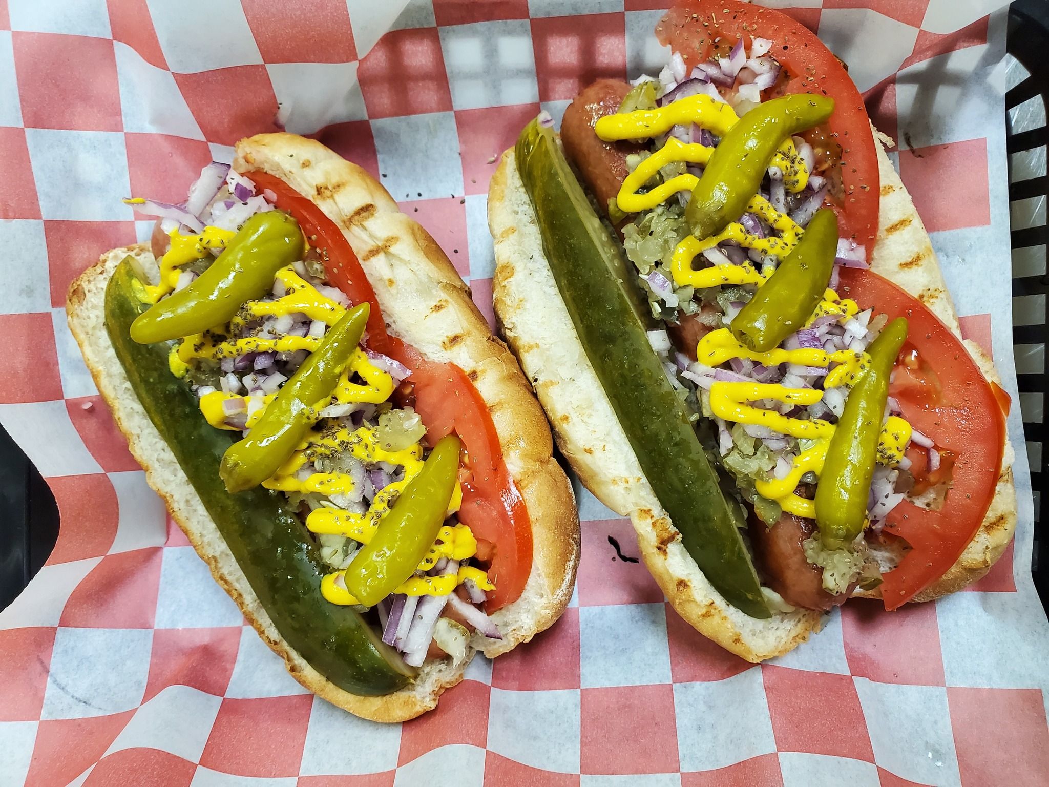 © LW Chicago "Style" Dog
