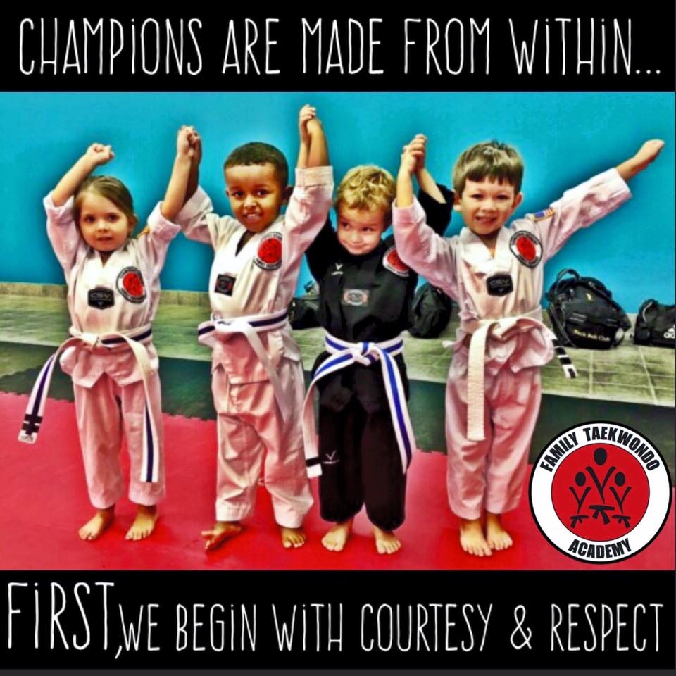 Carmichael Academy - Family Taekwondo Image