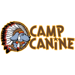Camp Canine Photo
