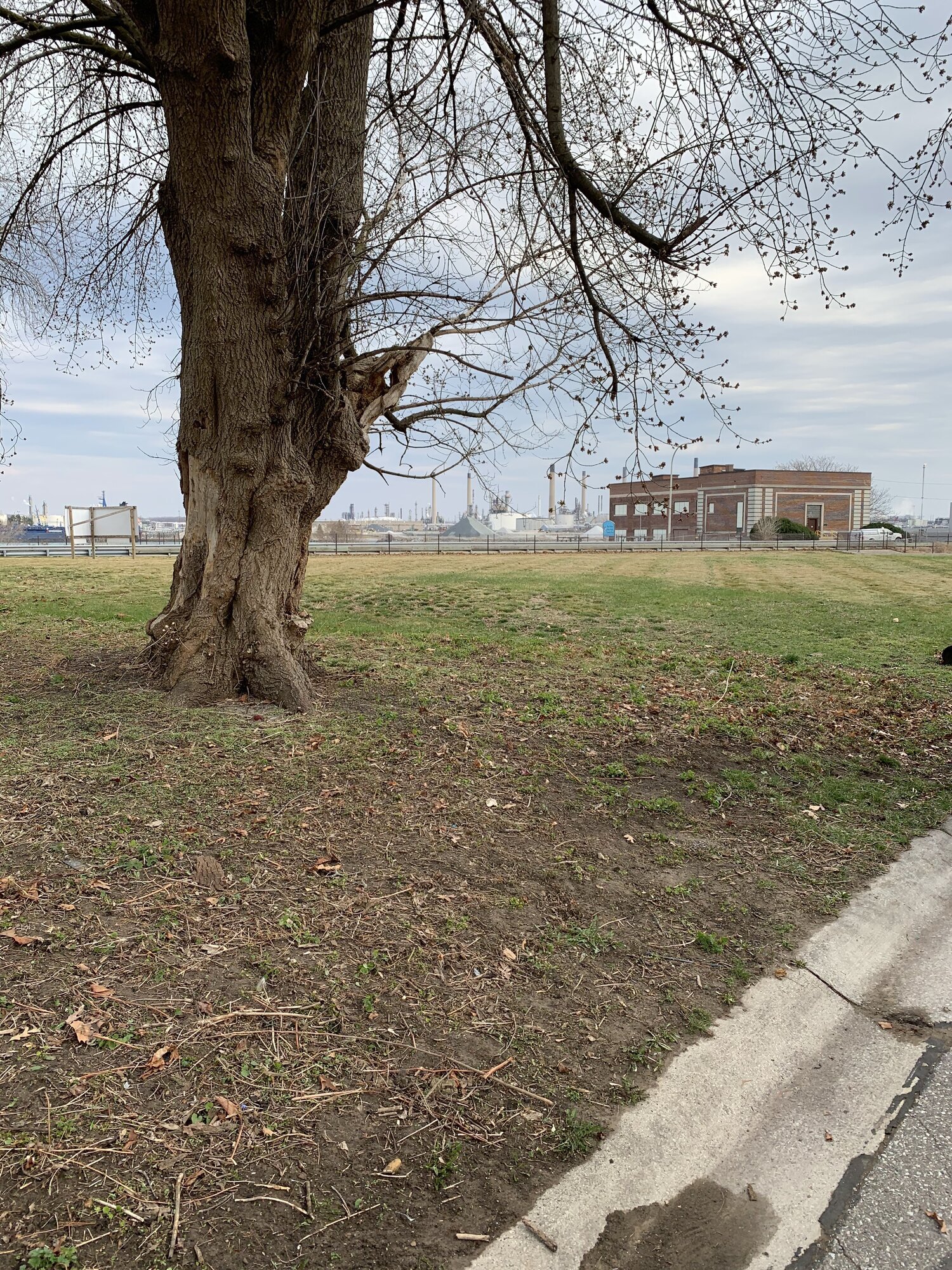 J. Molina Landscaping Image