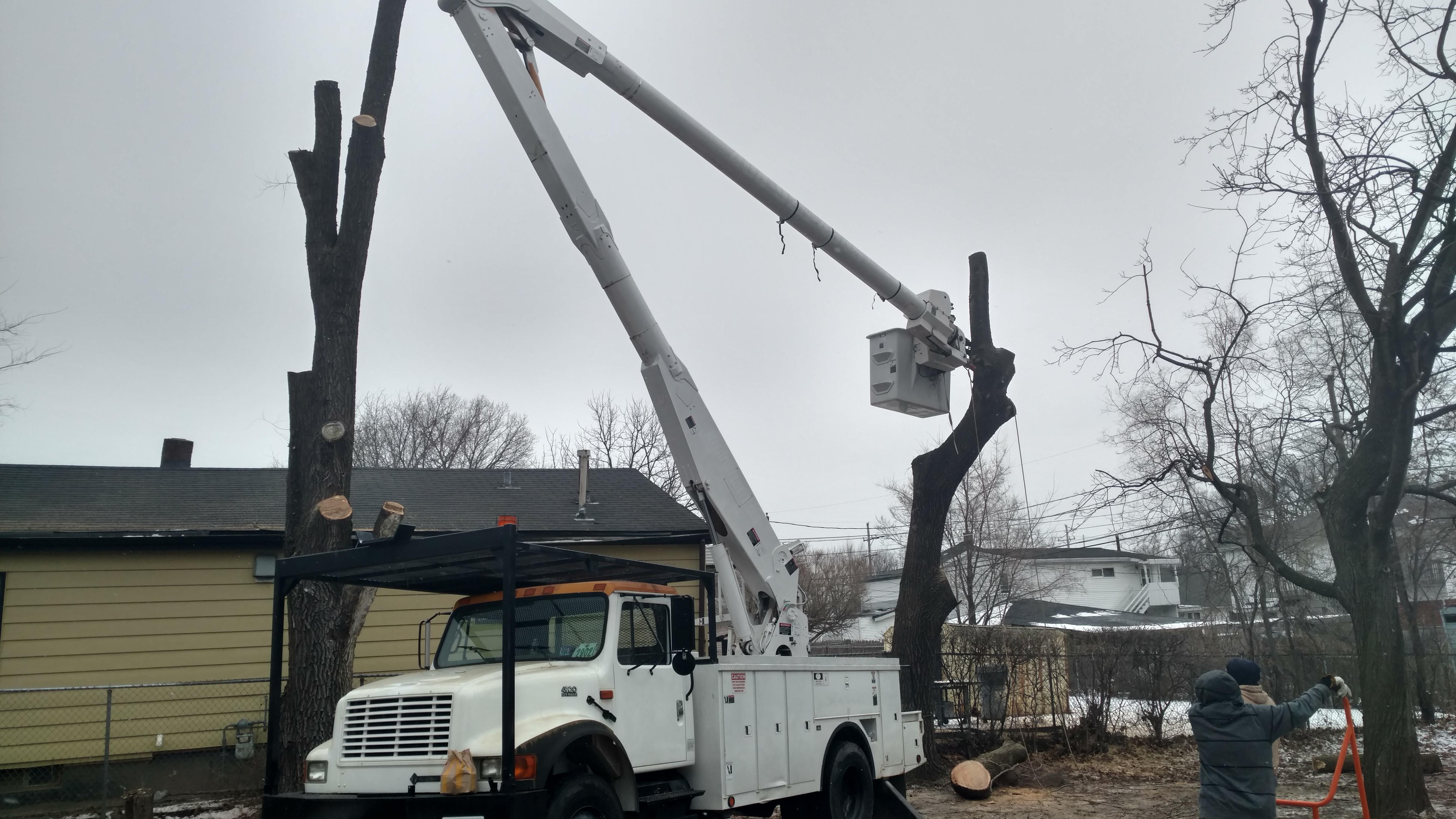 New Beginning Tree Service Company Image