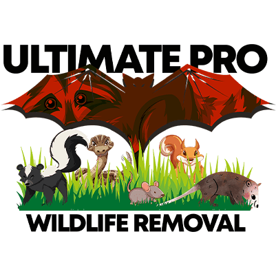Ultimate Pro Wildlife Removal LLC