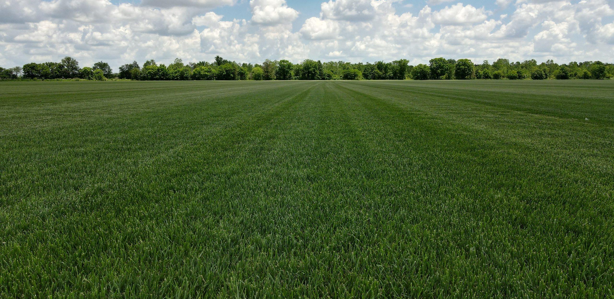 Keeven Brothers Sod Farms Image