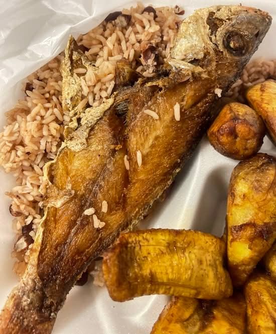 Red Snapper Fish