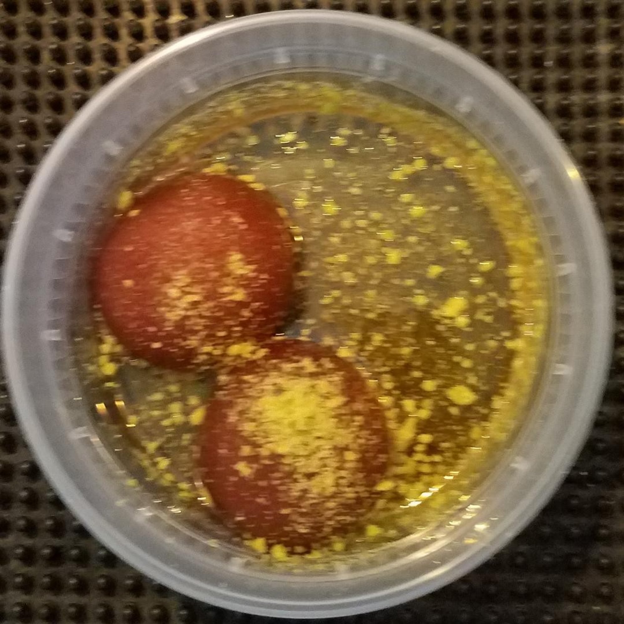 Gulab Jamun